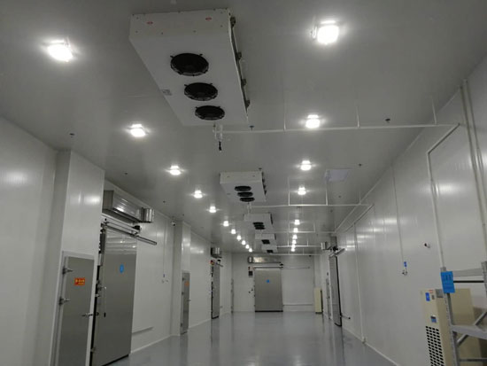 1667183097282631.jpg 9.jpg