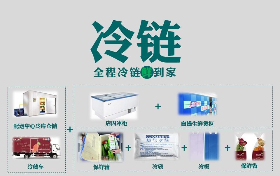 冷链与冷冻的区别与重要性