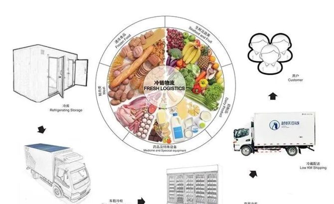 公共型农产品冷链物流规划