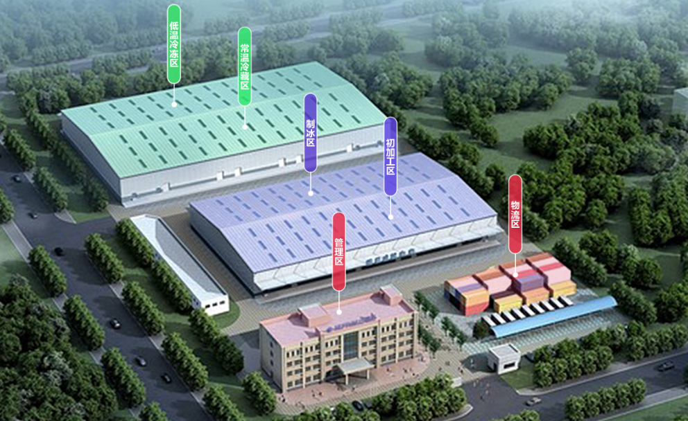 冷链基础设施建设包括哪些