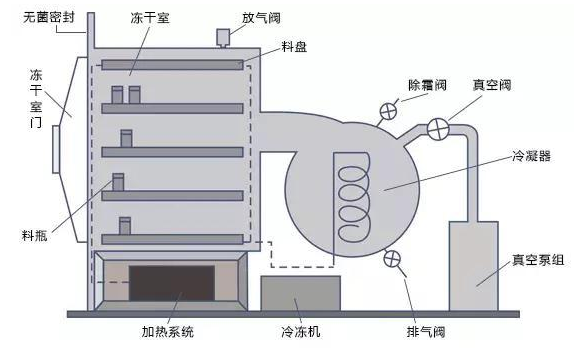 冷链食品冷冻保藏原理与技术