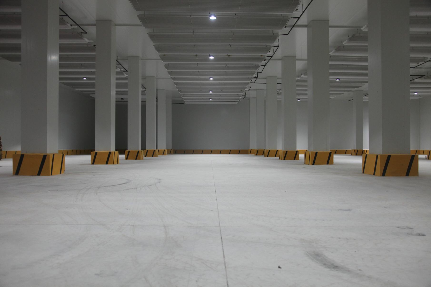 上海浦东新区低温冷藏冷冻库出租